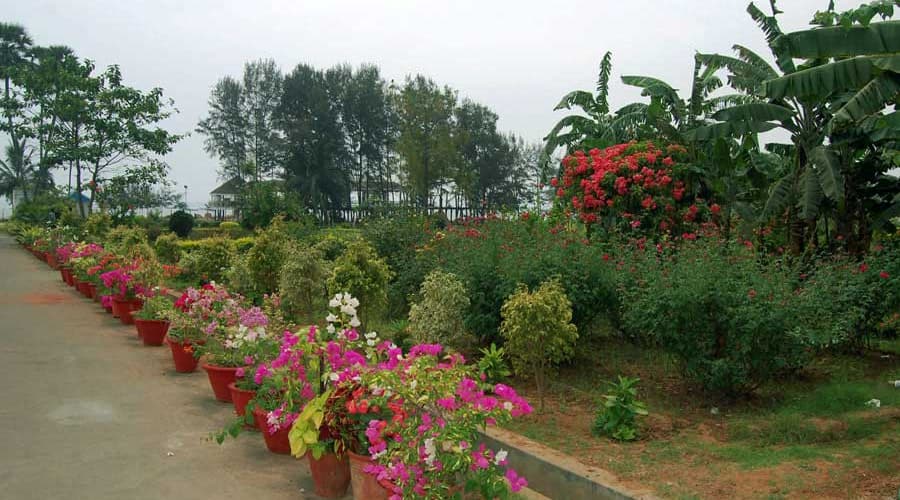 Sai Priya Beach Resort, Visakhapatnam 5